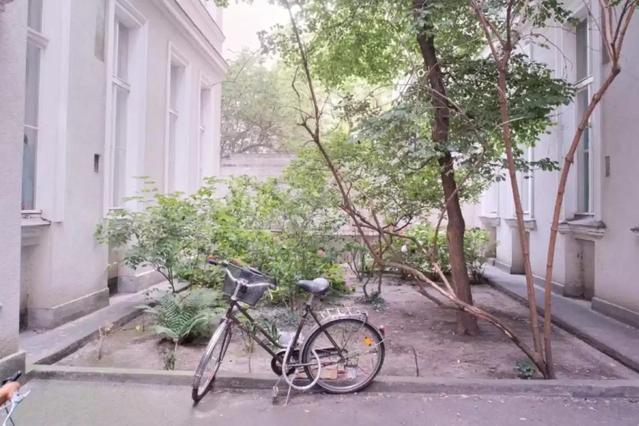 Room in 3 Bed 1 Bath