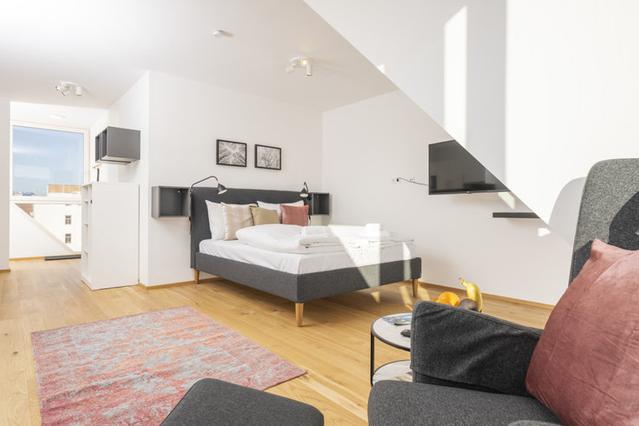 1 室户公寓 位于 Vienna