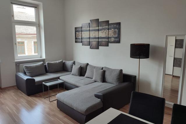 1 室户公寓 位于 Vienna