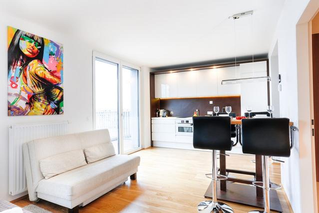 1 室户公寓 位于 Vienna