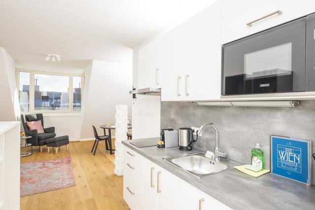 1 室户公寓 位于 Vienna