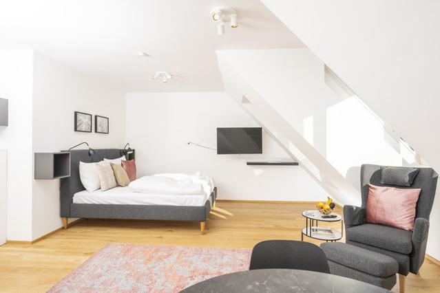 1 室户公寓 位于 Vienna