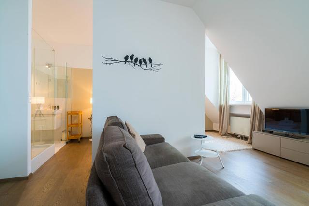 1 室户公寓 位于 Vienna