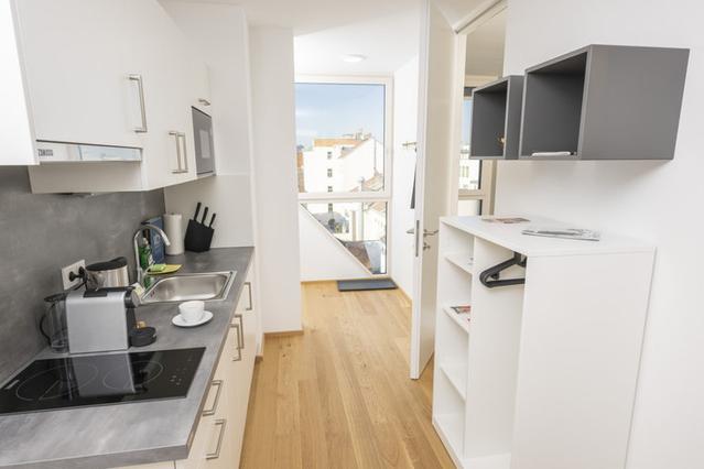 1 室户公寓 位于 Vienna