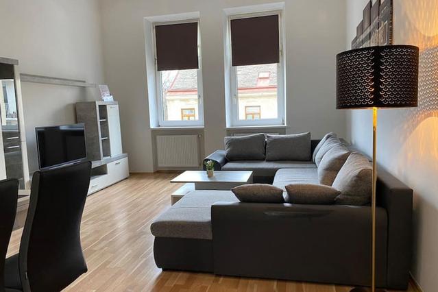 1 室户公寓 位于 Vienna