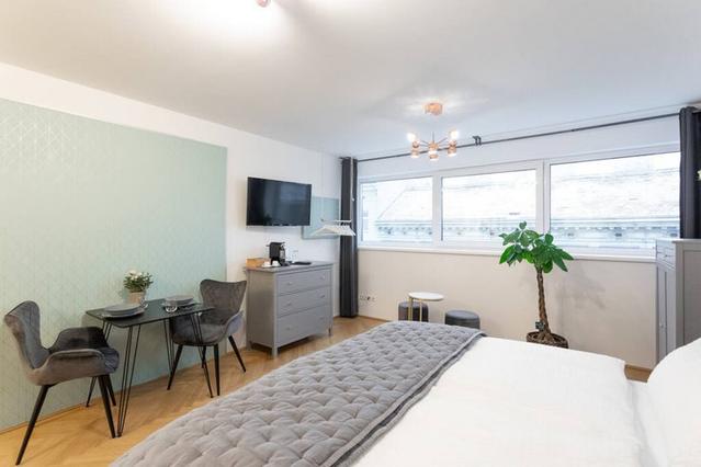 Vienna şehrinde 1 oda