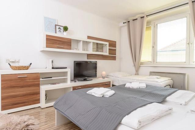 1-Zimmer Wohnung in Vienna