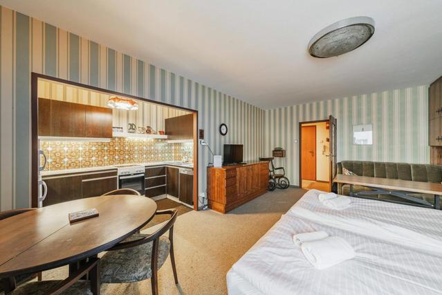 Studio in Nußdorfer Straße, Alsergrund