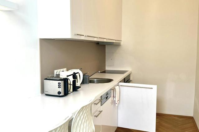 Studio in Koppstraße, 16. Bezirk