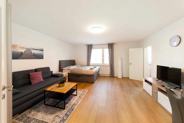 Studio in Haslingergasse, 17. Bezirk-Hernals