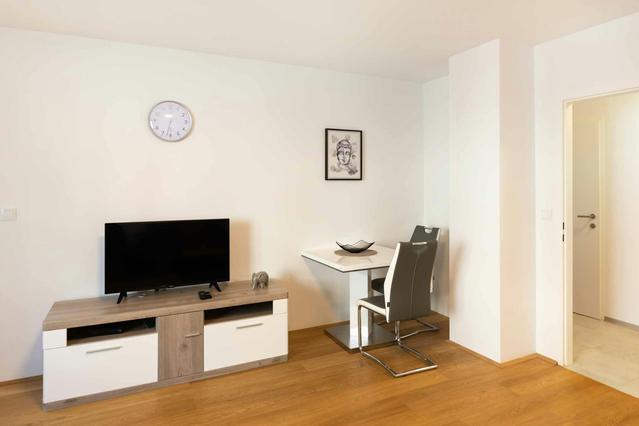 Studio in Haslingergasse, 17. Bezirk-Hernals