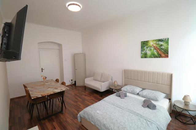 1 комнатная квартира по адресу Schweidlgasse, Leopoldstadt