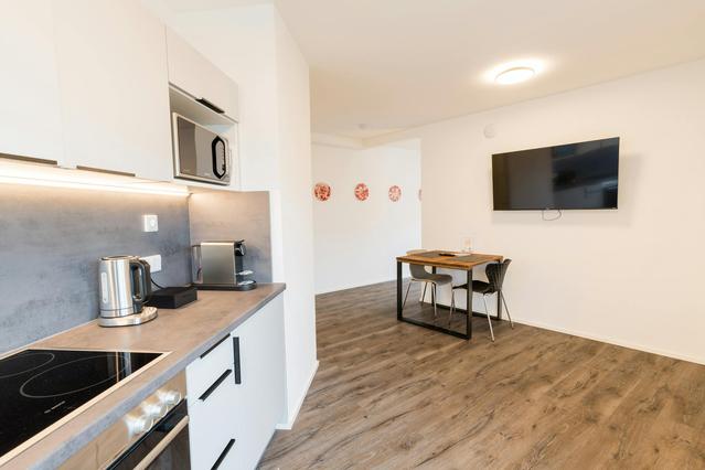 Spittelauer Lände, 9. Bezirk-Alsergrund şehrinde 1 Stüdyo