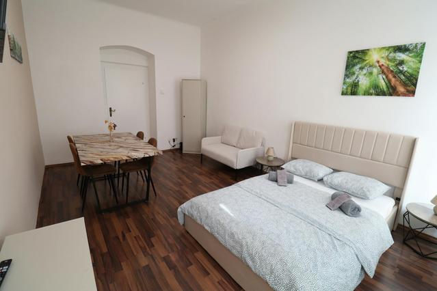 1 комнатная квартира по адресу Schweidlgasse, Leopoldstadt