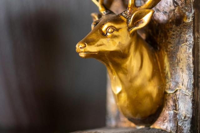 Studio in Kürnbergergasse, 15. Bezirk-Rudolfsheim-Fünfhaus