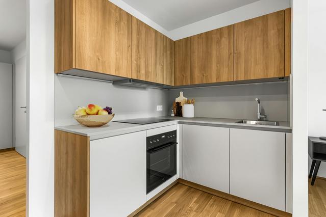 Studio in Dresdner Straße, Brigittenau