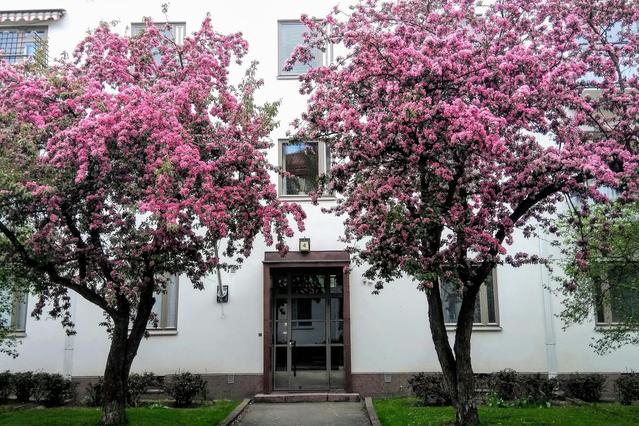 Valhallankatu, Helsinki