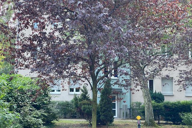 Josef-Orlopp-Straße, Berlin