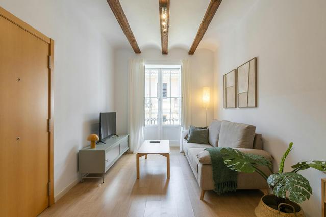 Appartement 1 pièce à Carrer del Túria, Extramurs
