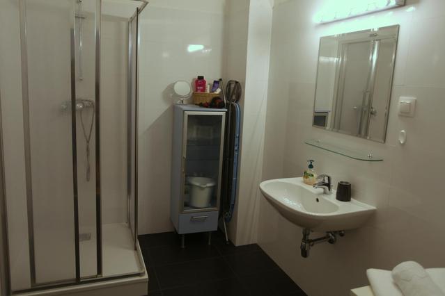 Piso de 1 habitación en Heinzelmanngasse, 20. Bezirk-Brigittenau