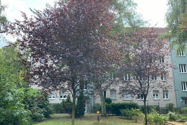 Josef-Orlopp-Straße, Berlin