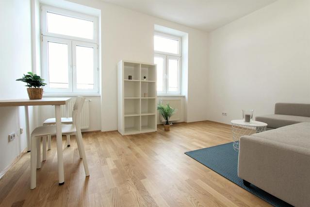 Appartement 1 pièce à Lerchenfelder Gürtel, 16. Bezirk-Ottakring