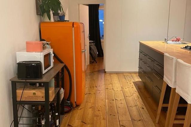 Tilanusstraat şehrinde 1 oda