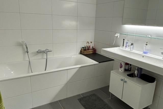 Apartment in Amsterdam (sublet)