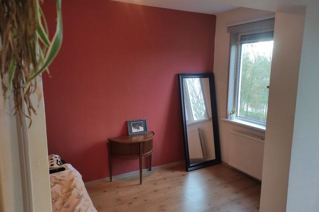 green & spacious apartment for rent 