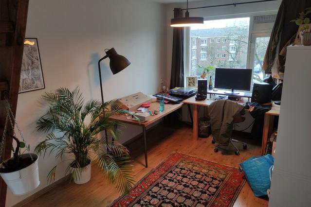 green & spacious apartment for rent 