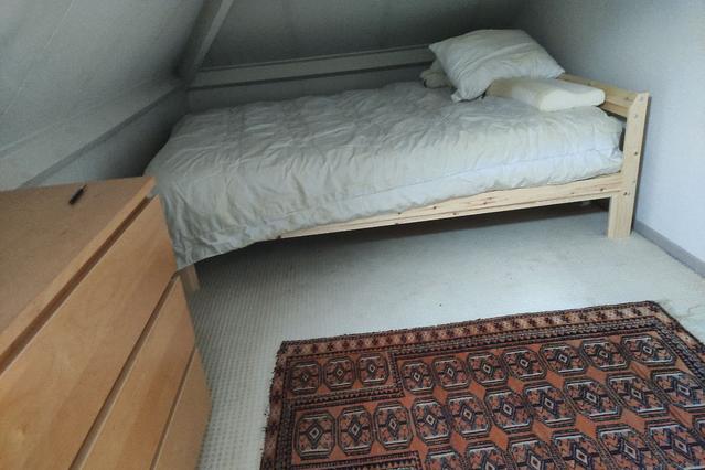 green & spacious apartment for rent 