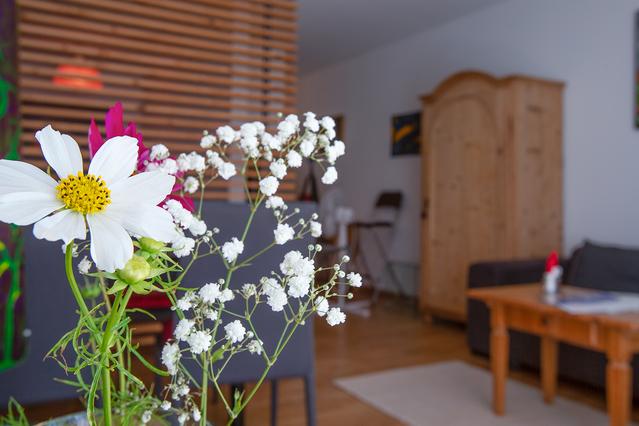 Appartement with garden - very central location in Innsbruck