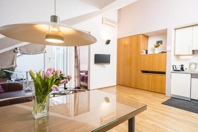 Apartment with roof top terrace Ap2