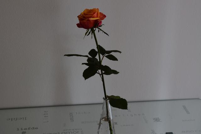 light-flooded 2 room apartment