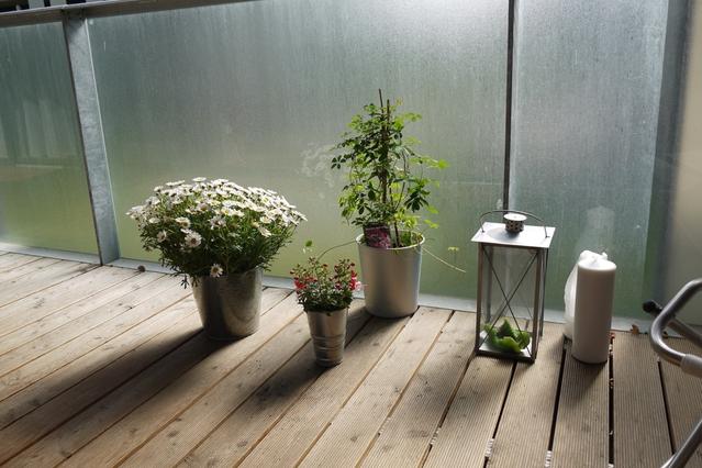 light-flooded 2 room apartment