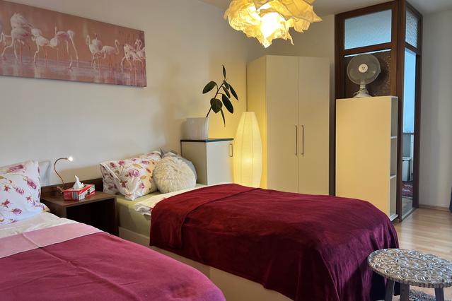 Charming appartement with terrace