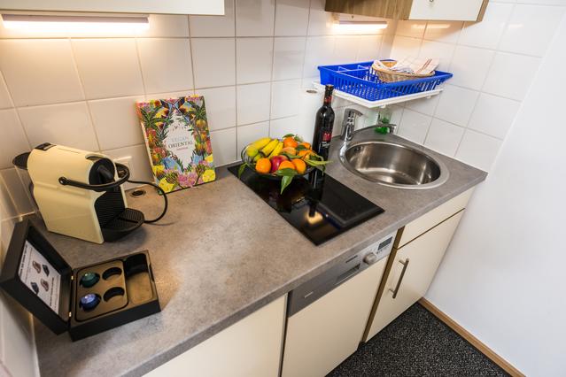 Apartment with roof top terrace Ap2