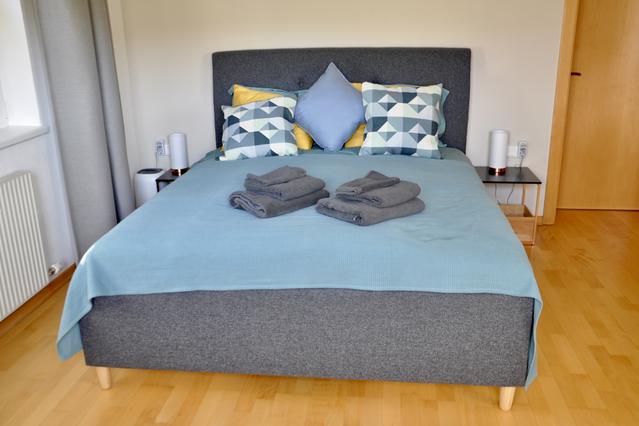 Business Apartment Aste – Work and Relax with a Mountain View