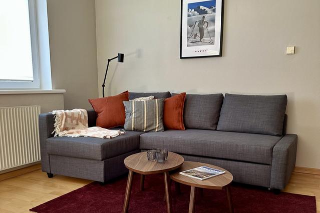 Business Apartment Aste – Work and Relax with a Mountain View