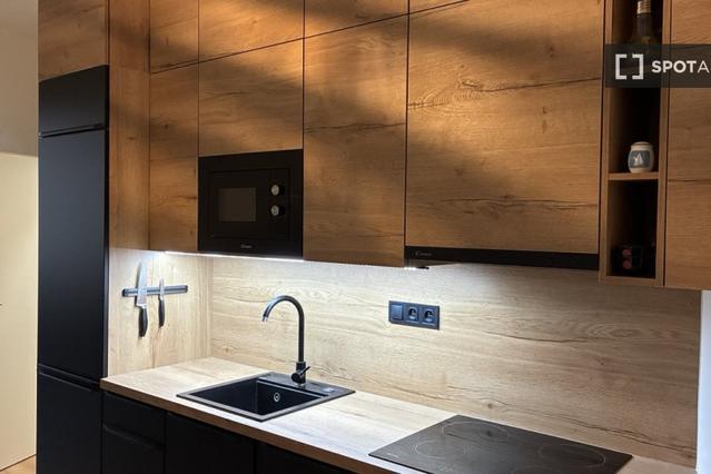 Studio for rent in Prague