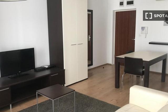 Studio for rent in Budapest