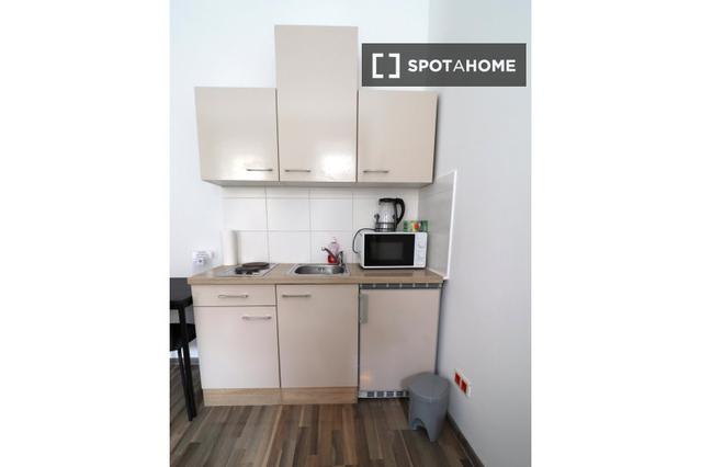 Studio in Schönbrunner Str.