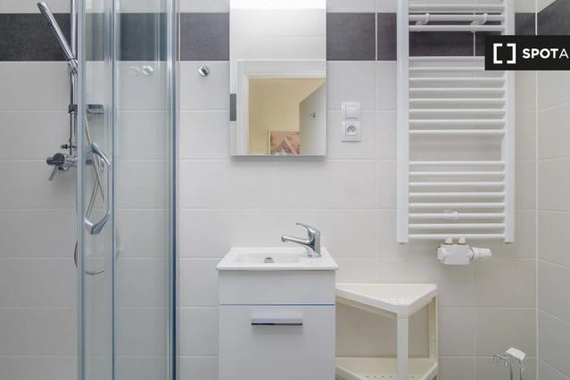 Studio for rent in Prague