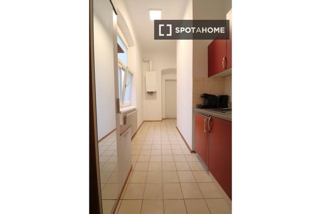 Studio for rent in Vienna