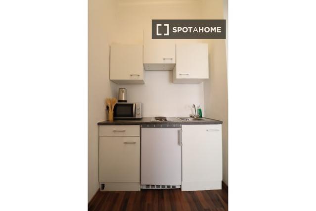 Schweidlgasse şehrinde 1 Stüdyo