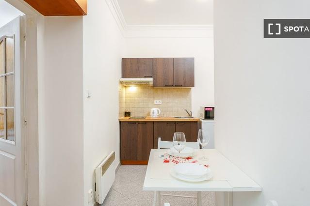 Studio for rent in Prague