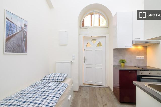 Studio for rent in Prague
