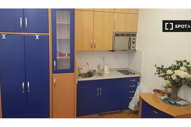 Studio for rent in Prague