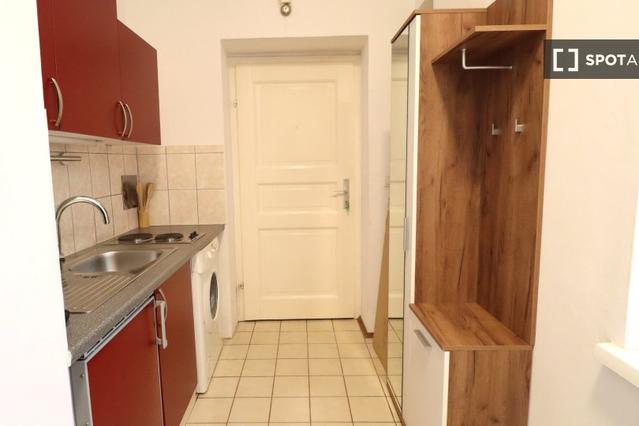 Studio for rent in Vienna