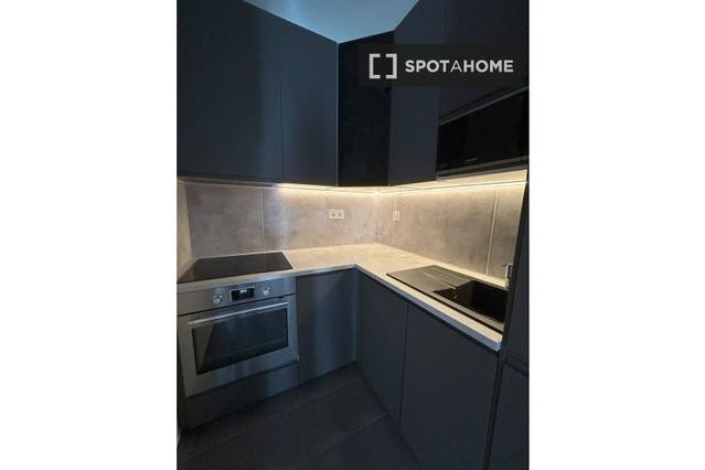 Studio for rent in Budapest